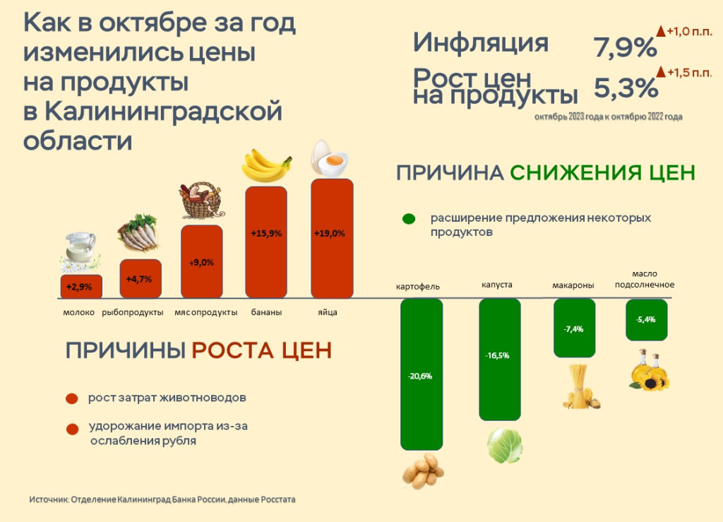 Инфографика_Калининград_ноябрь_ИТОГ.jpg